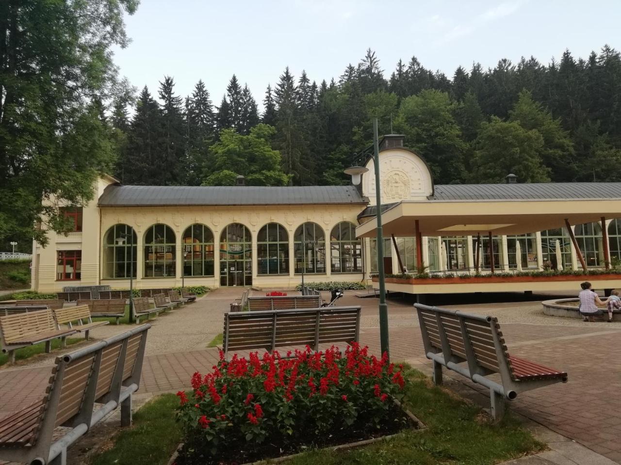 Apartman Jestrab 5 Янске Лазне Екстериор снимка